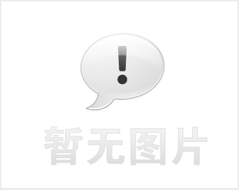 美2020大选竞争日趋白热化 沃伦开始抨击其他候选人